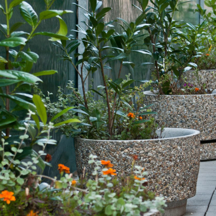 betónové kvetináče